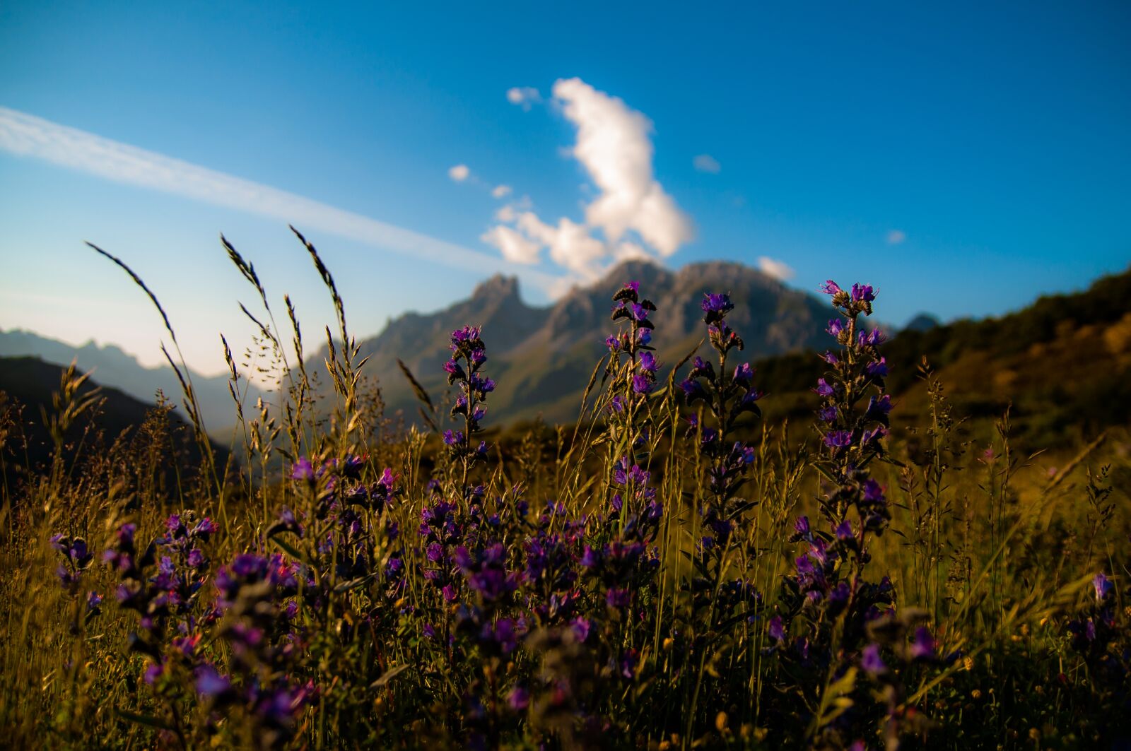 Nikon D5000 sample photo. Peak, mountain, scenery photography
