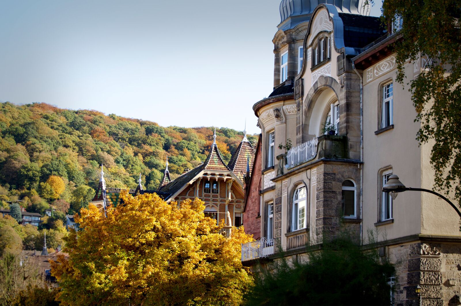 Nikon D3200 sample photo. Heidelberg, weststadt, deciduous tree photography