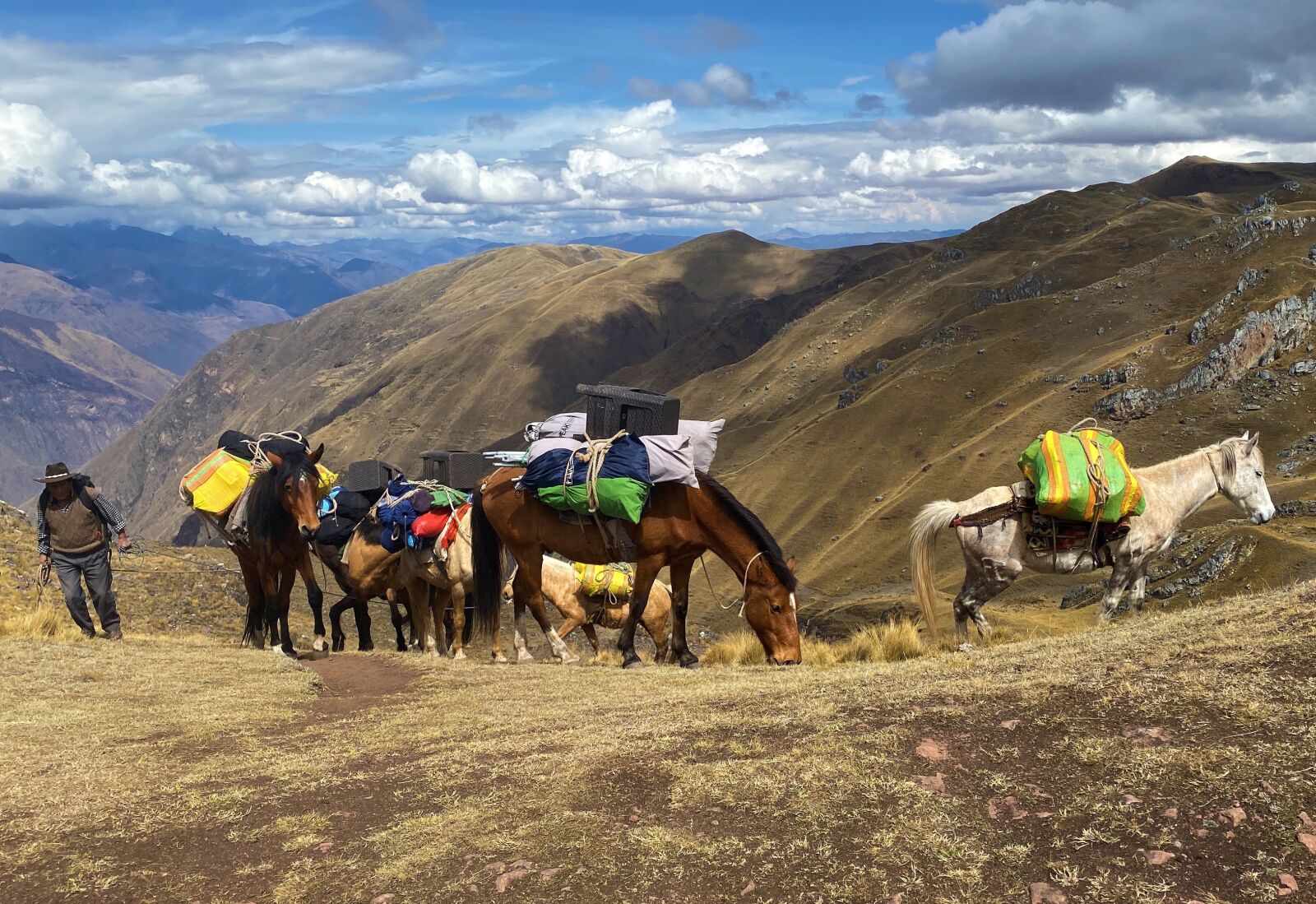 Apple iPhone 11 Pro Max sample photo. Andes, peru, pony trekking photography