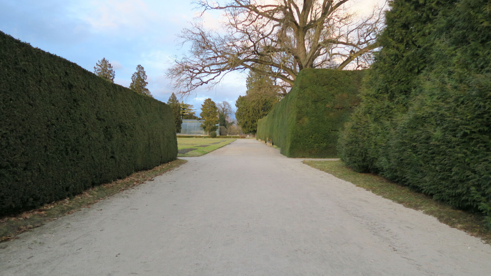 Canon PowerShot G7 X sample photo