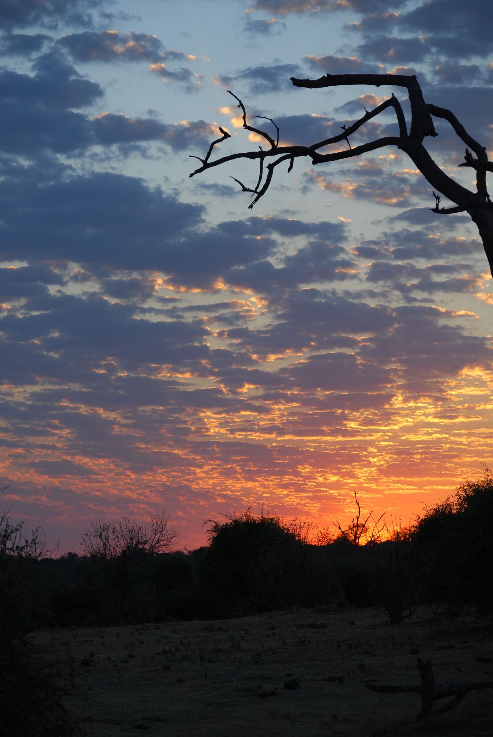 Nikon D40X sample photo. Sunrise, africa, botswana photography