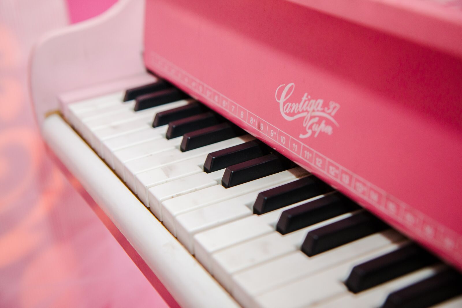 Canon EOS 70D sample photo. Piano, rosa, music photography