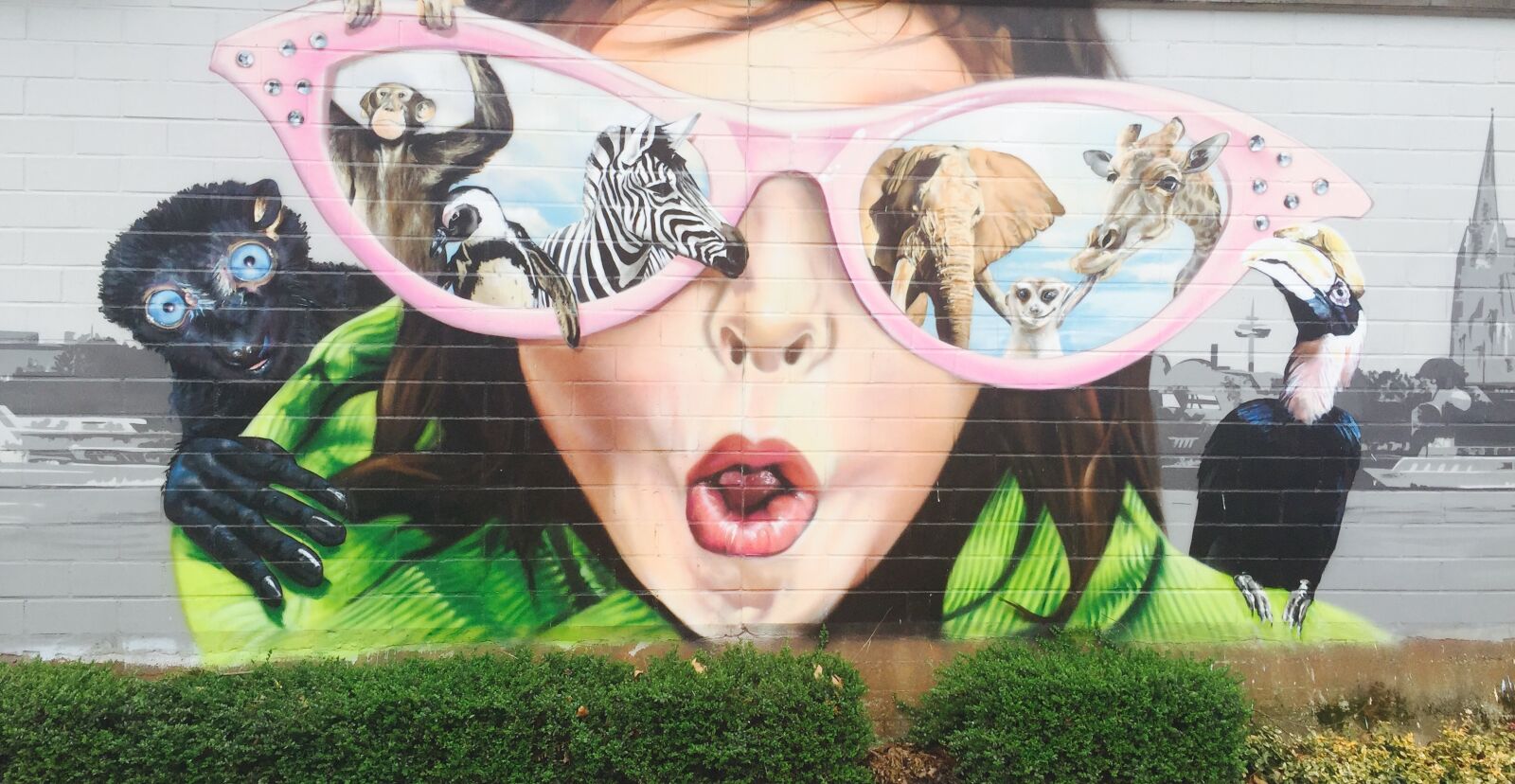 Apple iPhone 6 sample photo. Street art, city, zoo photography