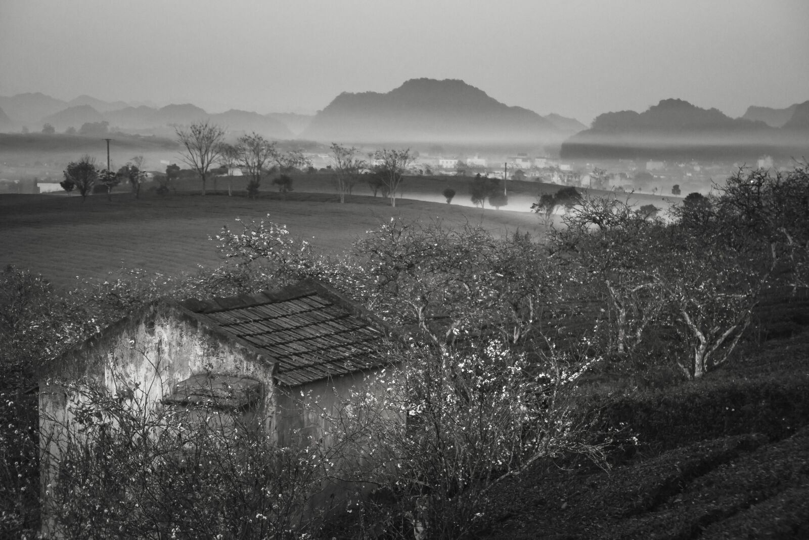 Sony a6500 + Sony Vario-Tessar T* E 16-70mm F4 ZA OSS sample photo. Farm, the morning, s photography