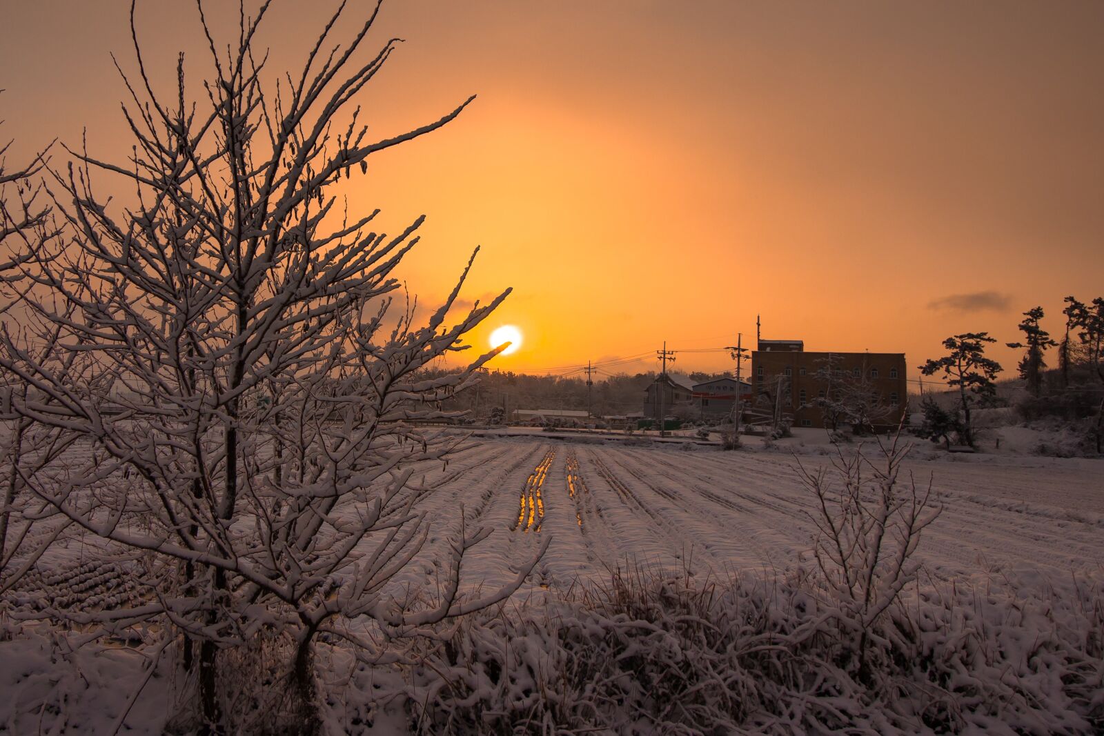 Canon EF-S 10-18mm F4.5–5.6 IS STM sample photo. Sunrise, sun, snow photography