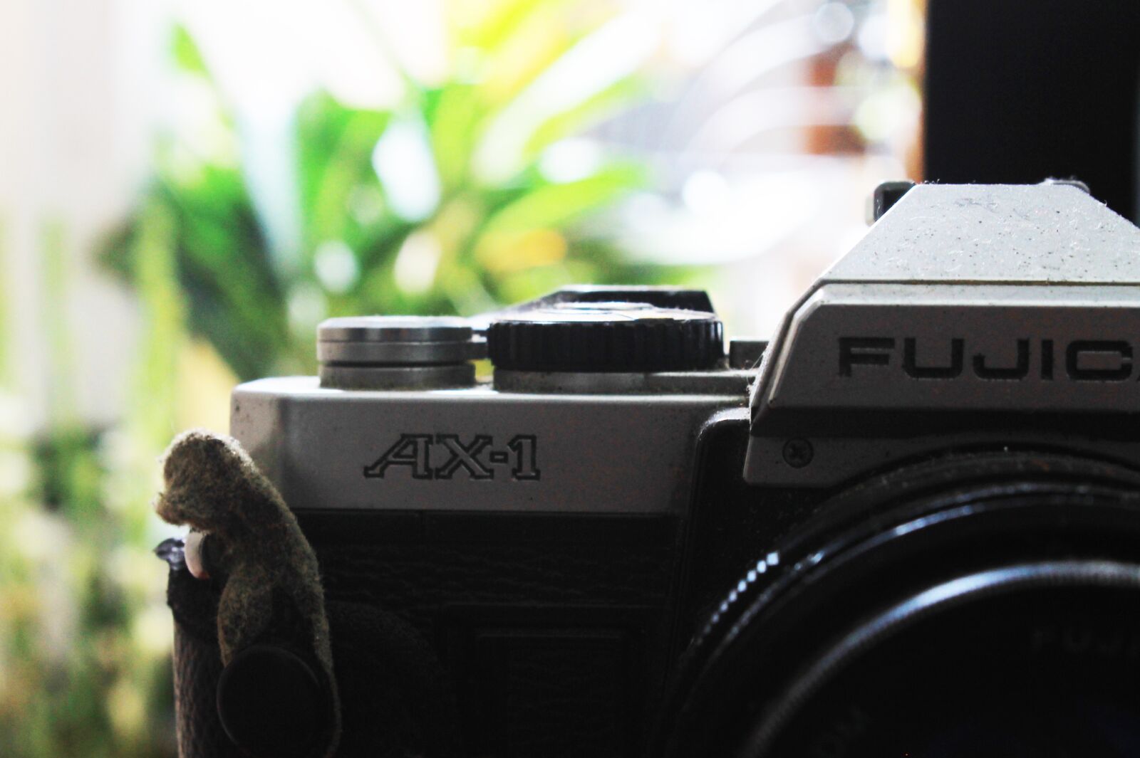 Canon EOS 1100D (EOS Rebel T3 / EOS Kiss X50) sample photo. Kamera, camera, tools photography