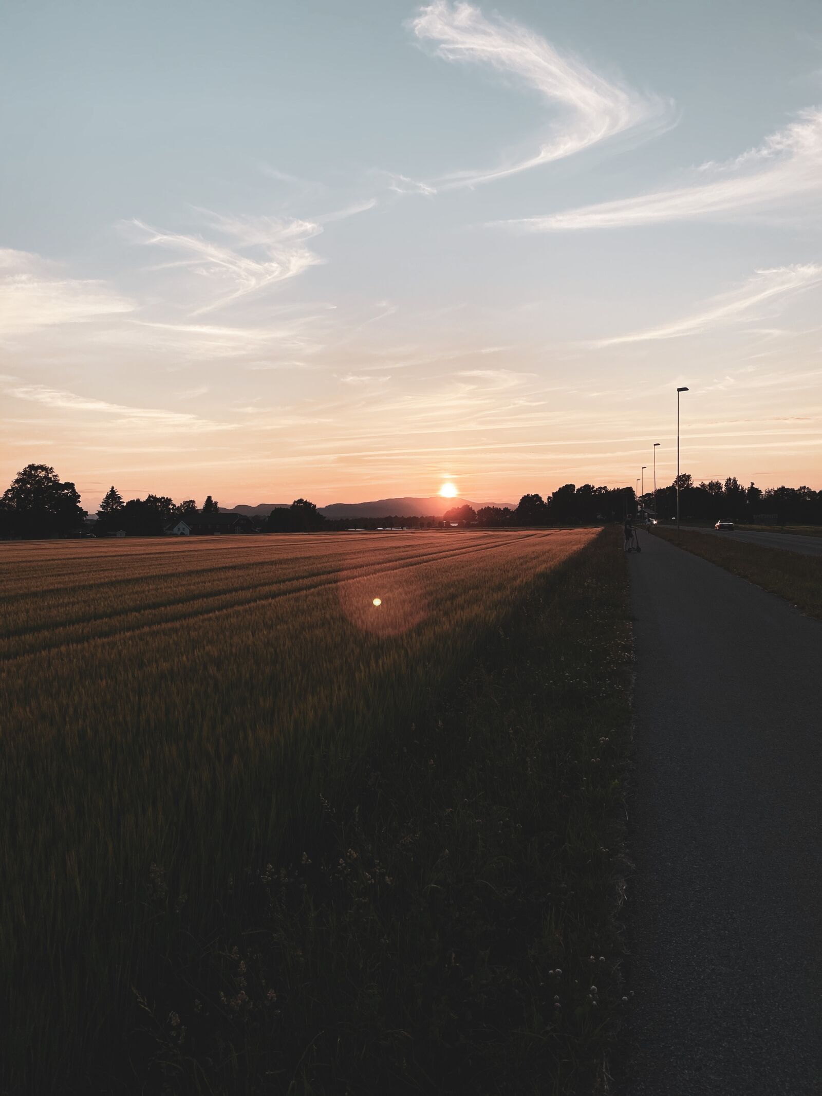 Apple iPhone 11 sample photo. Field, vibrant, sunset photography