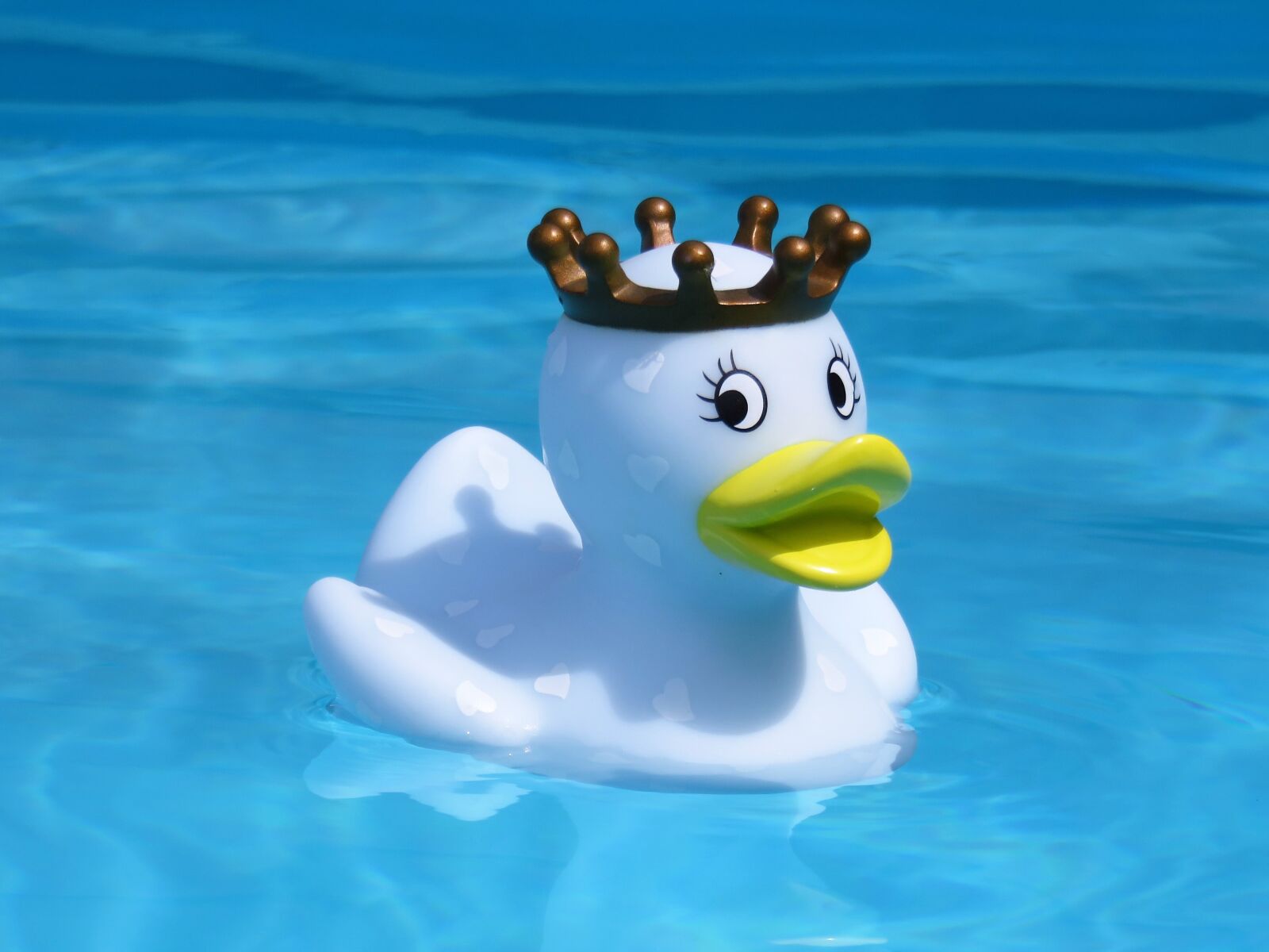 Canon PowerShot SX710 HS sample photo. Bath duck, quietscheente, rubber photography
