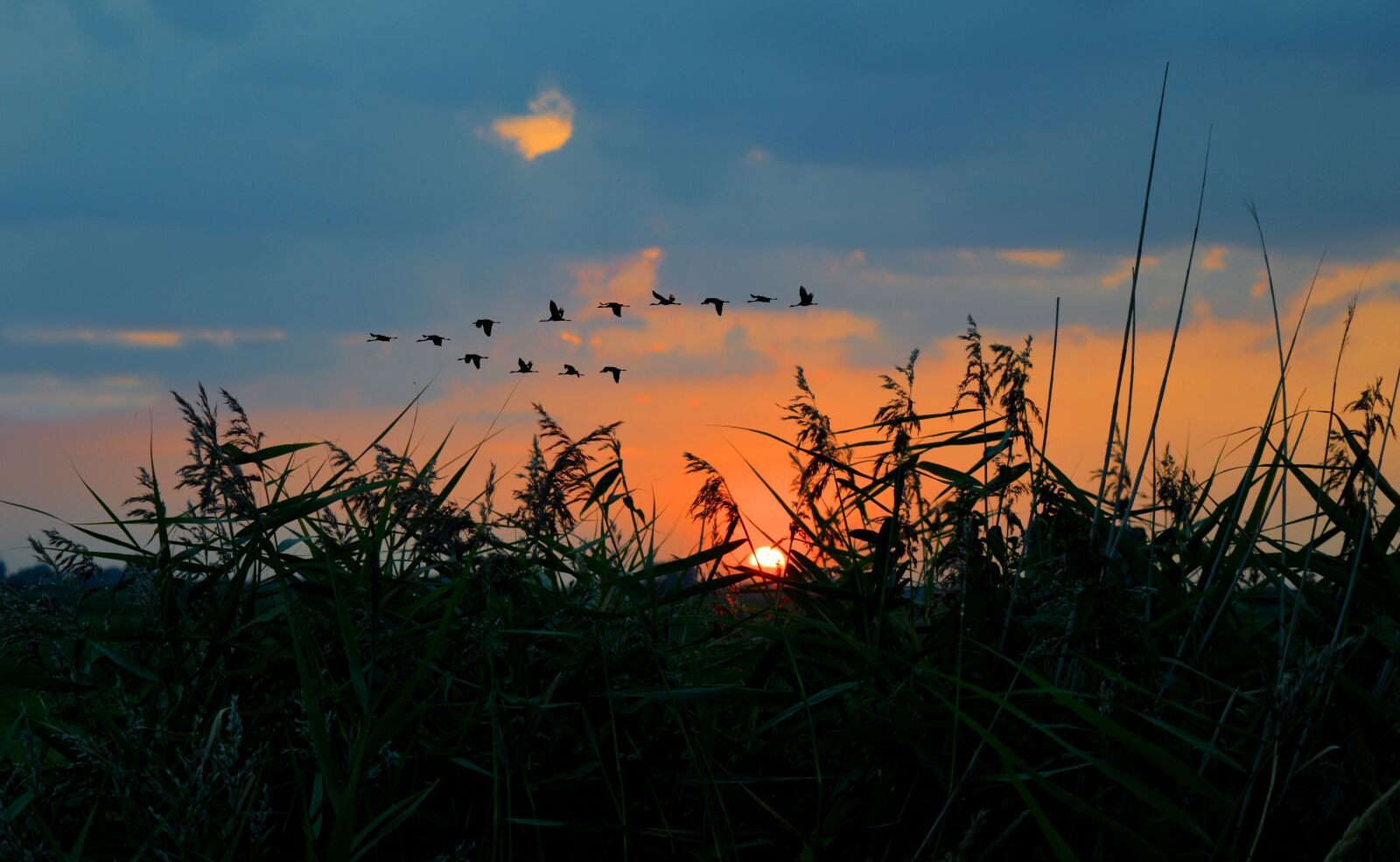 Nikon D3200 sample photo. Sunset, evening sky, dusk photography