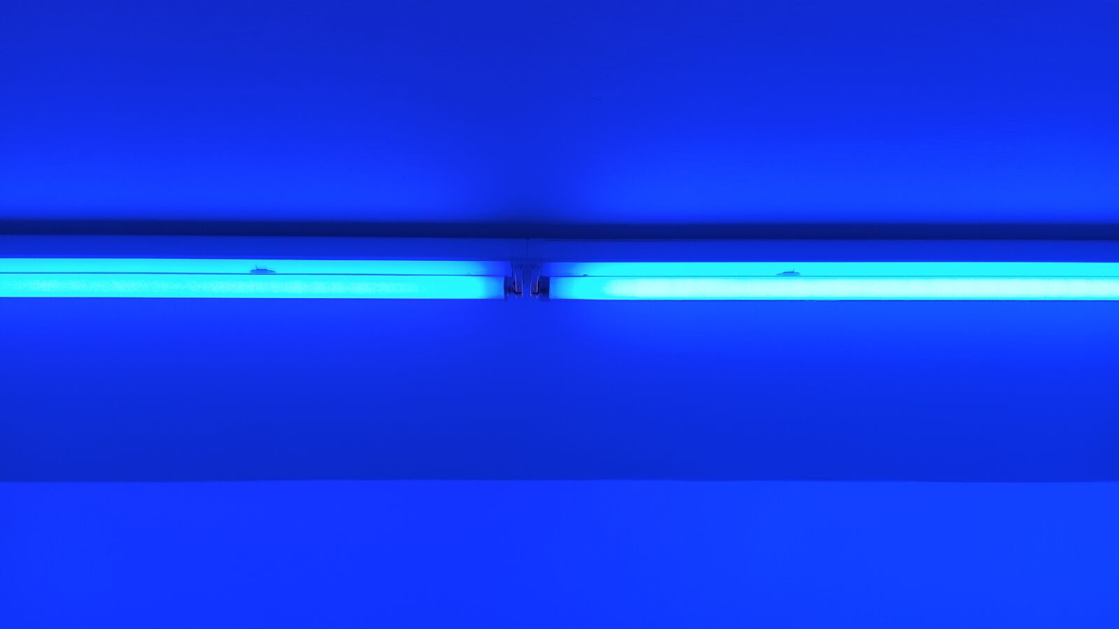 Xiaomi Mi A3 sample photo. Neon, neon tube, blue photography