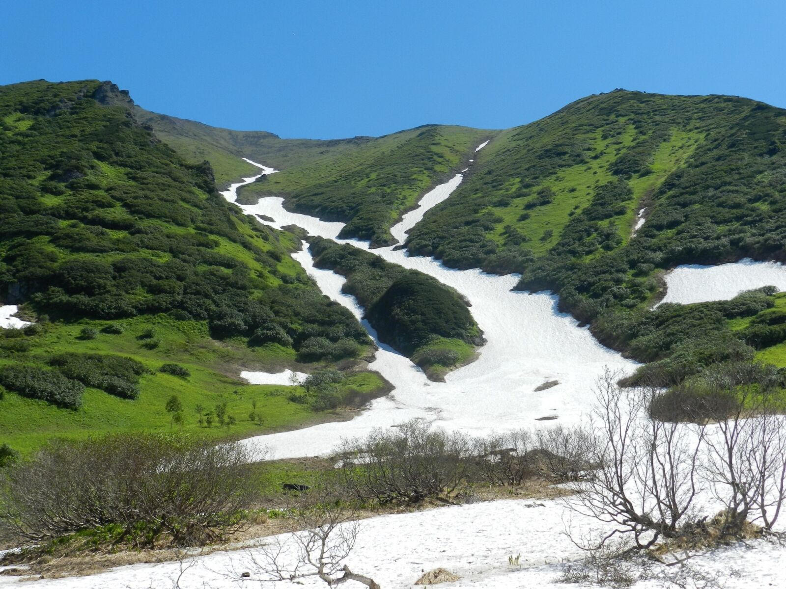 Nikon Coolpix P500 sample photo. Mountains, summer, snow photography
