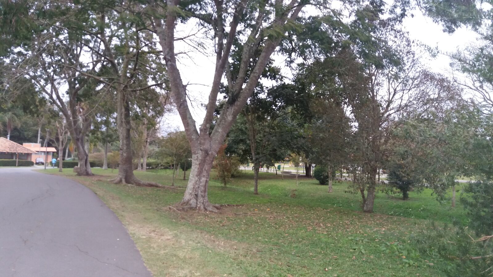 Samsung Galaxy J5 sample photo. Park, landscapes, trees photography