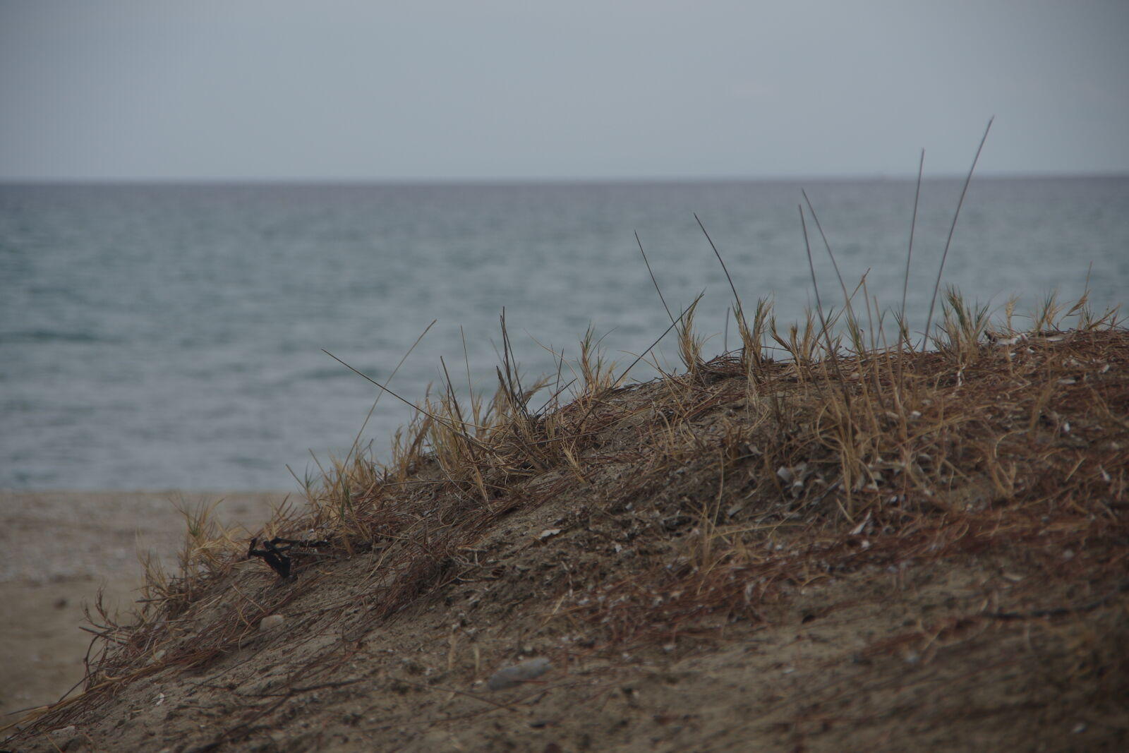 Pentax K-5 IIs sample photo. Waiting for autumn. photography