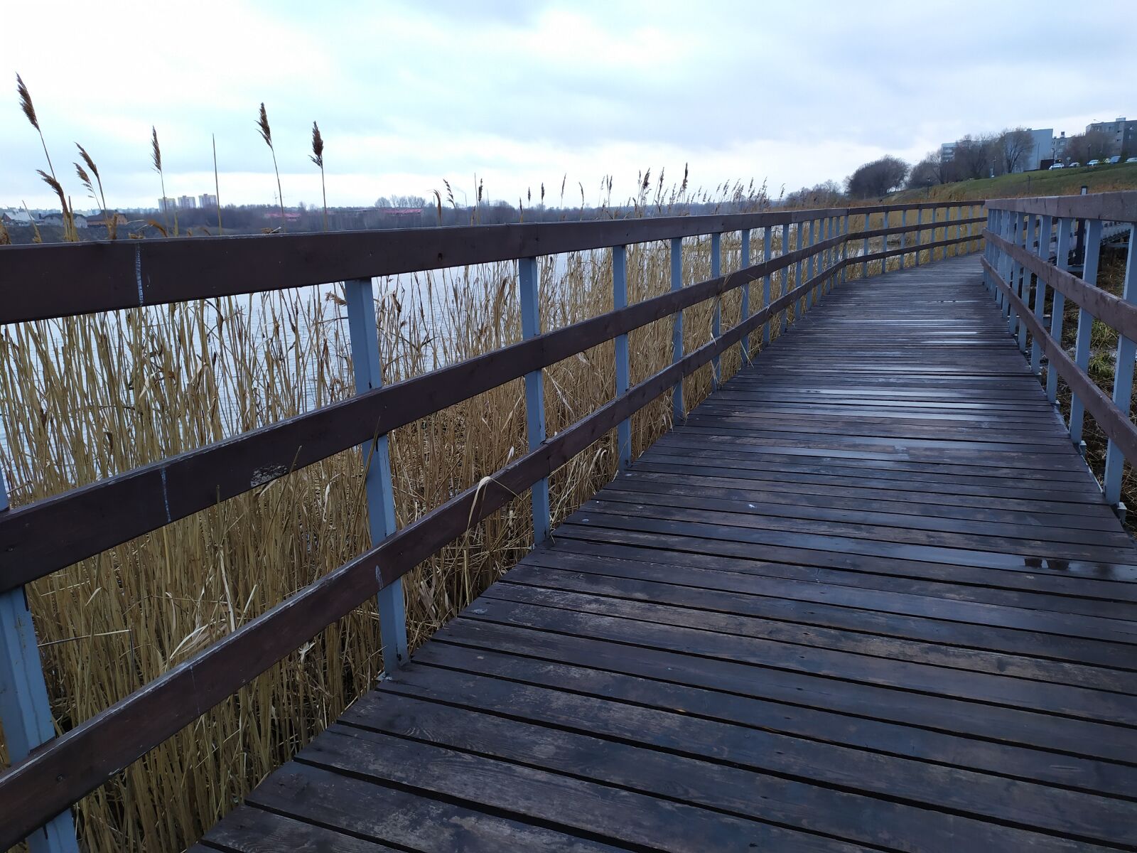 Xiaomi Redmi Note 7 sample photo. Bridges, the way, landscape photography