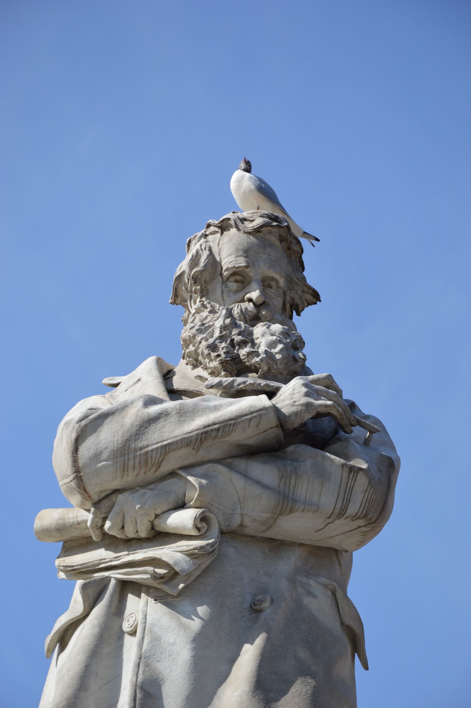 Nikon D3200 sample photo. Statue, seagull, bird photography