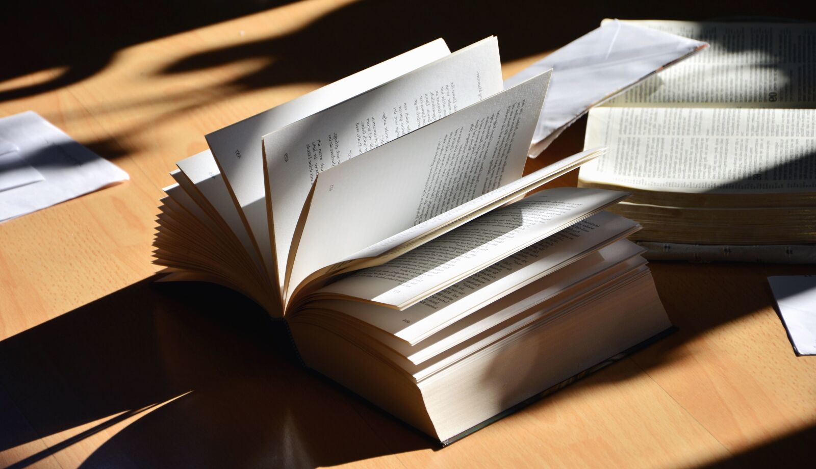 Nikon D5200 sample photo. Table, book, learning, science photography