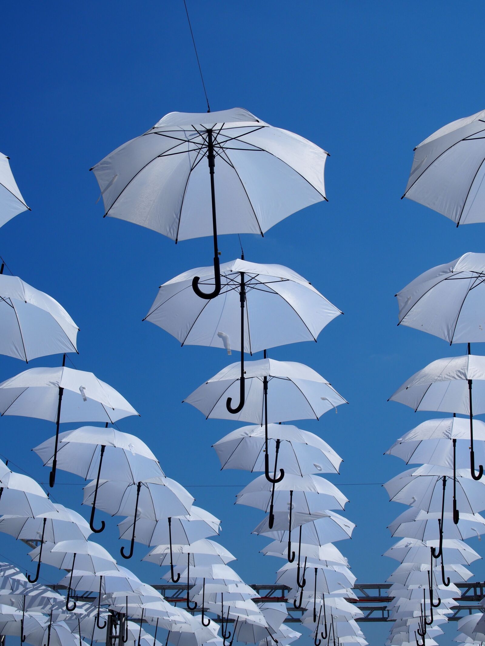 Olympus PEN E-PL6 sample photo. Umbrellas, lublin, sky photography