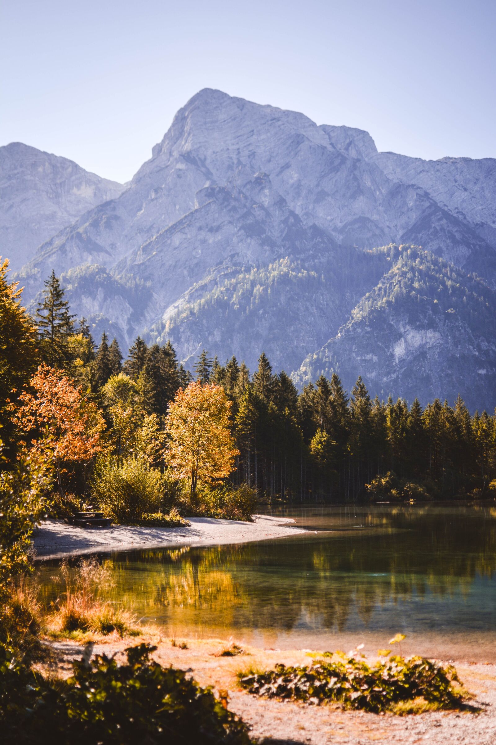 Nikon D5200 sample photo. Nature, landscape, forest photography