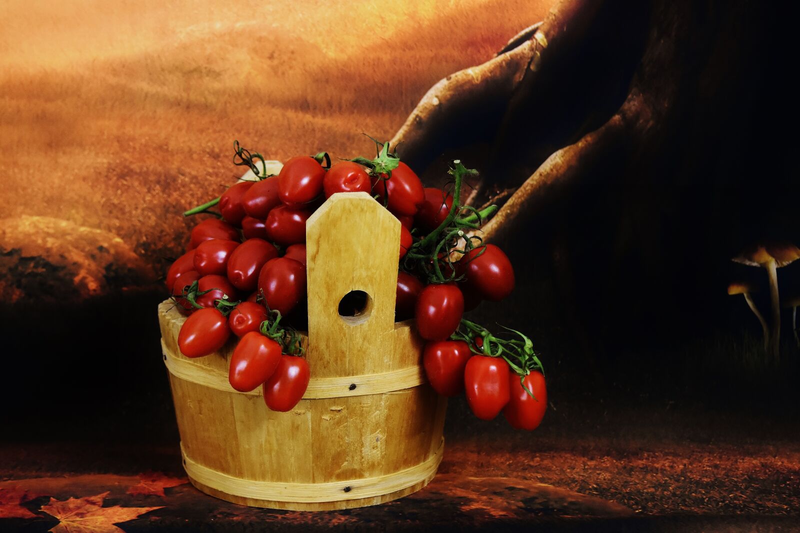 Nikon D7200 sample photo. Harvest tomatoes, wooden bucket photography