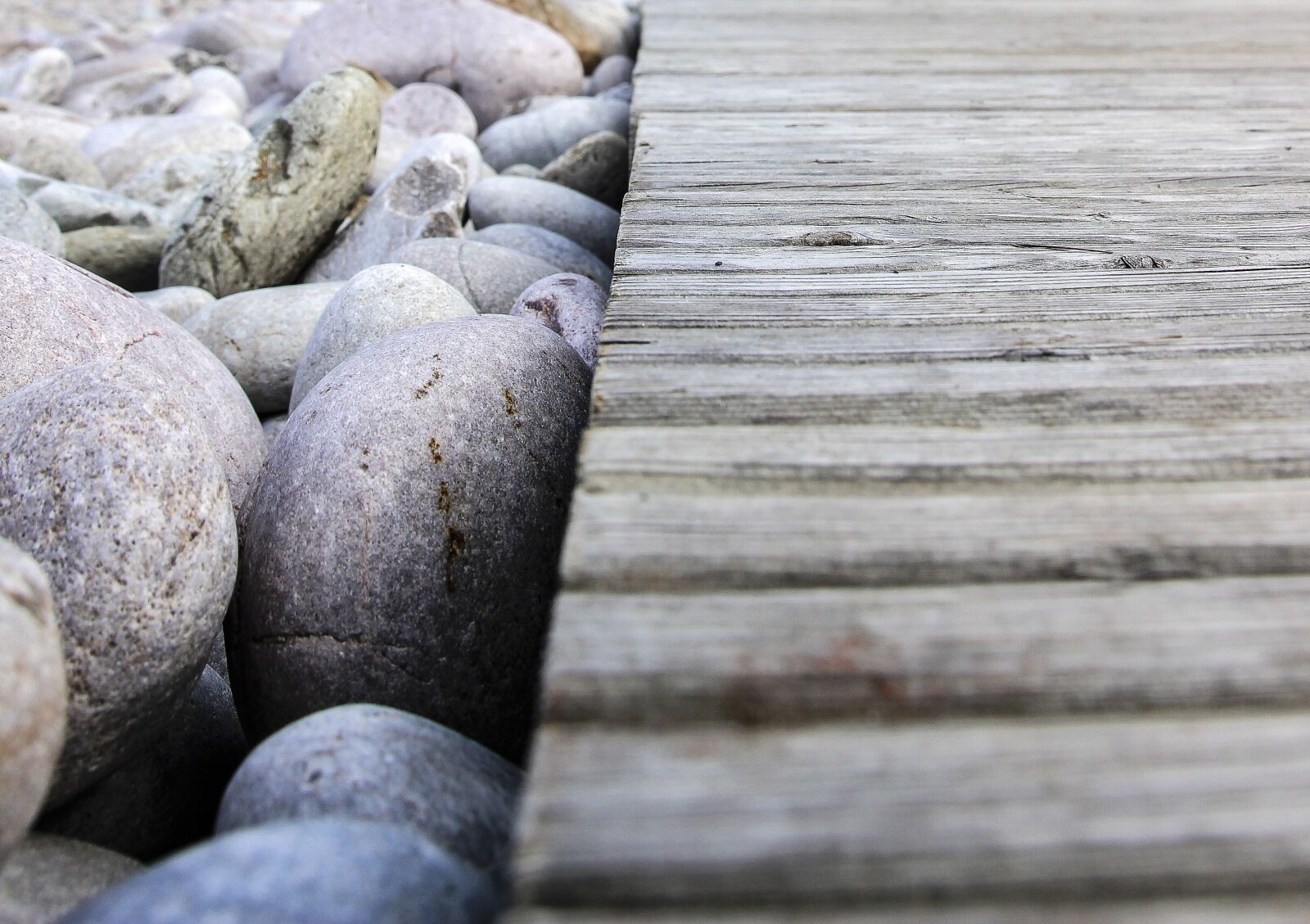 Canon EOS 600D (Rebel EOS T3i / EOS Kiss X5) sample photo. Wood, stones, beach photography
