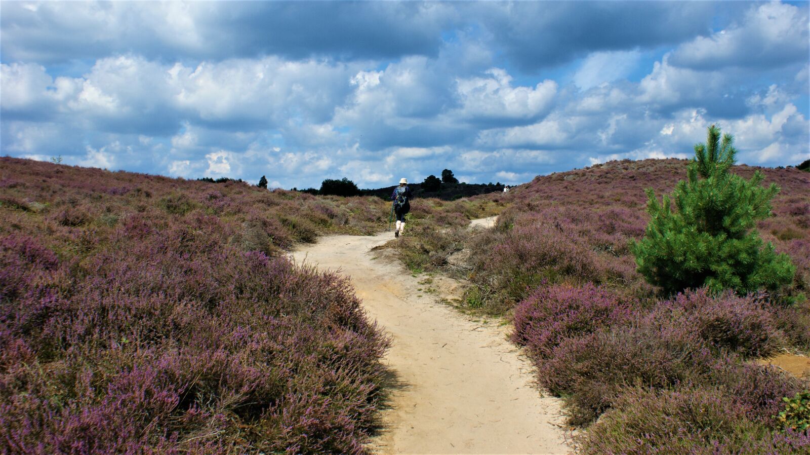 Sony Alpha DSLR-A350 sample photo. Man, hiker, trail photography