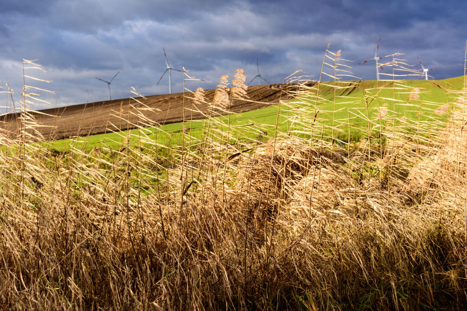 Nikon D5200 sample photo. Field, clouds, landscape photography