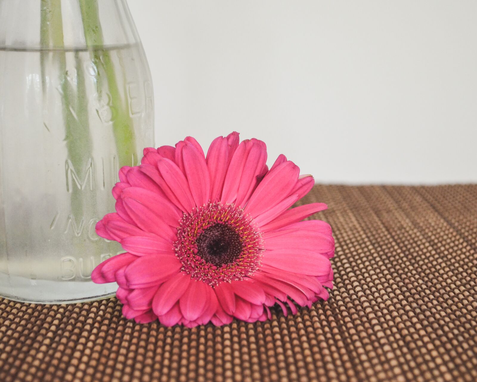 Nikon D5100 sample photo. Flower, pink, blossom photography