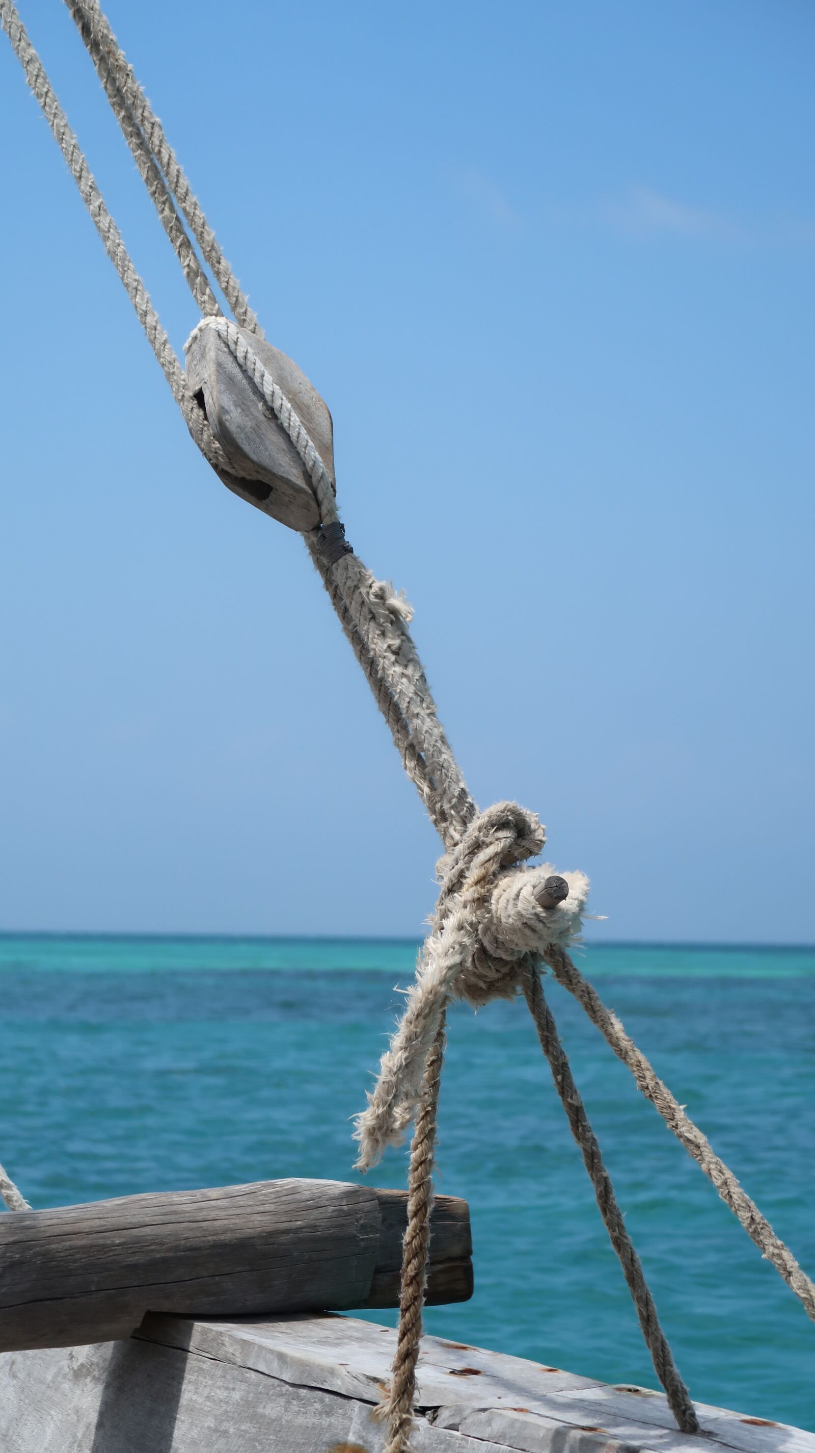 Canon PowerShot G7 X Mark II sample photo. Ocean, fishing trip, sailboat photography