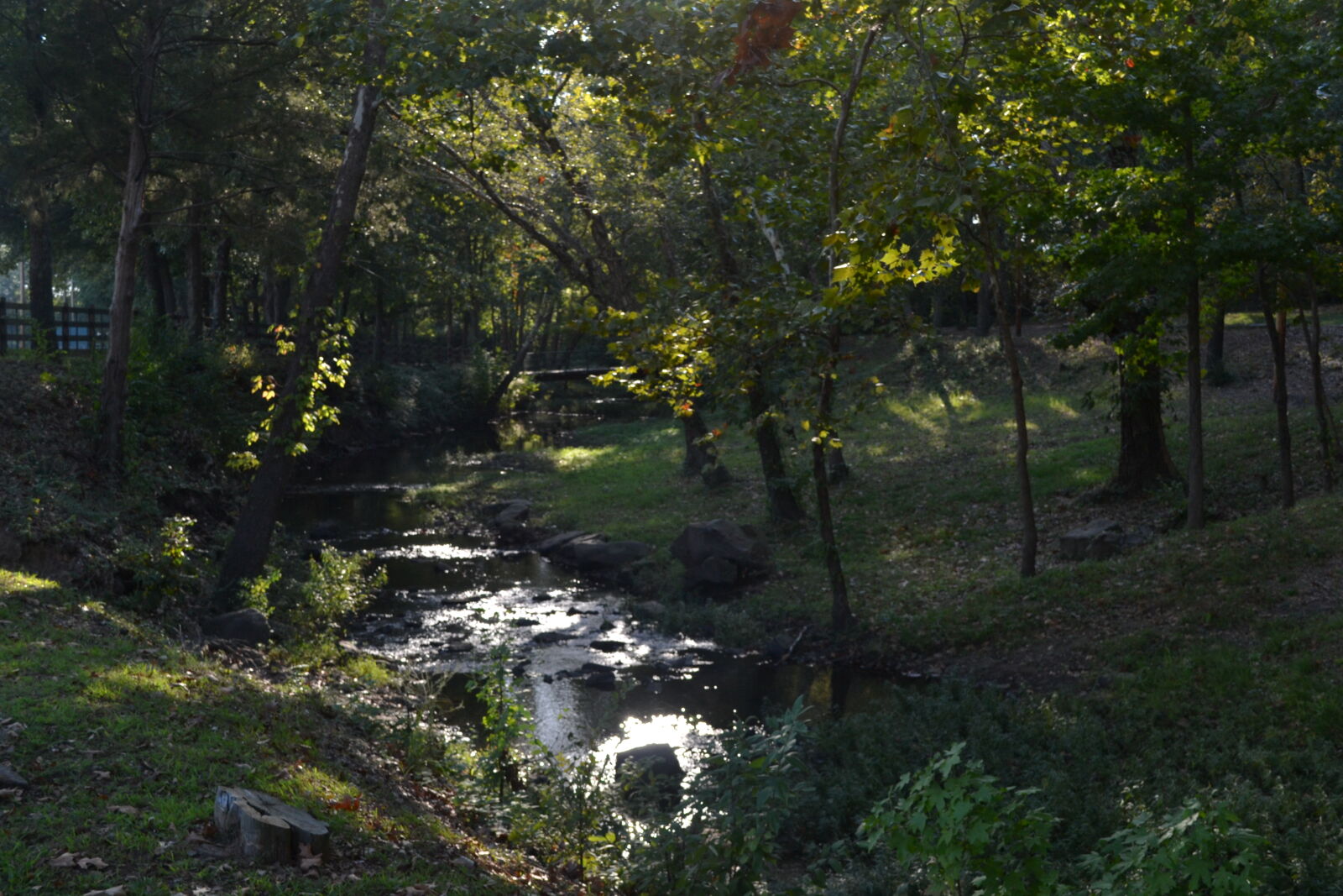 Nikon D3100 sample photo. Stream, river, green, woodsy photography