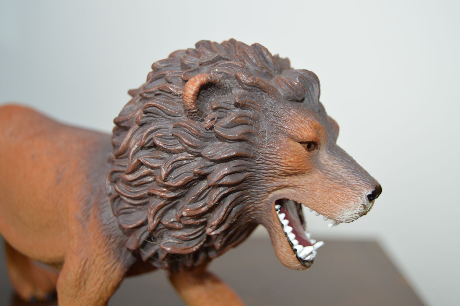 Nikon D3200 sample photo. Lion, toy, king of photography