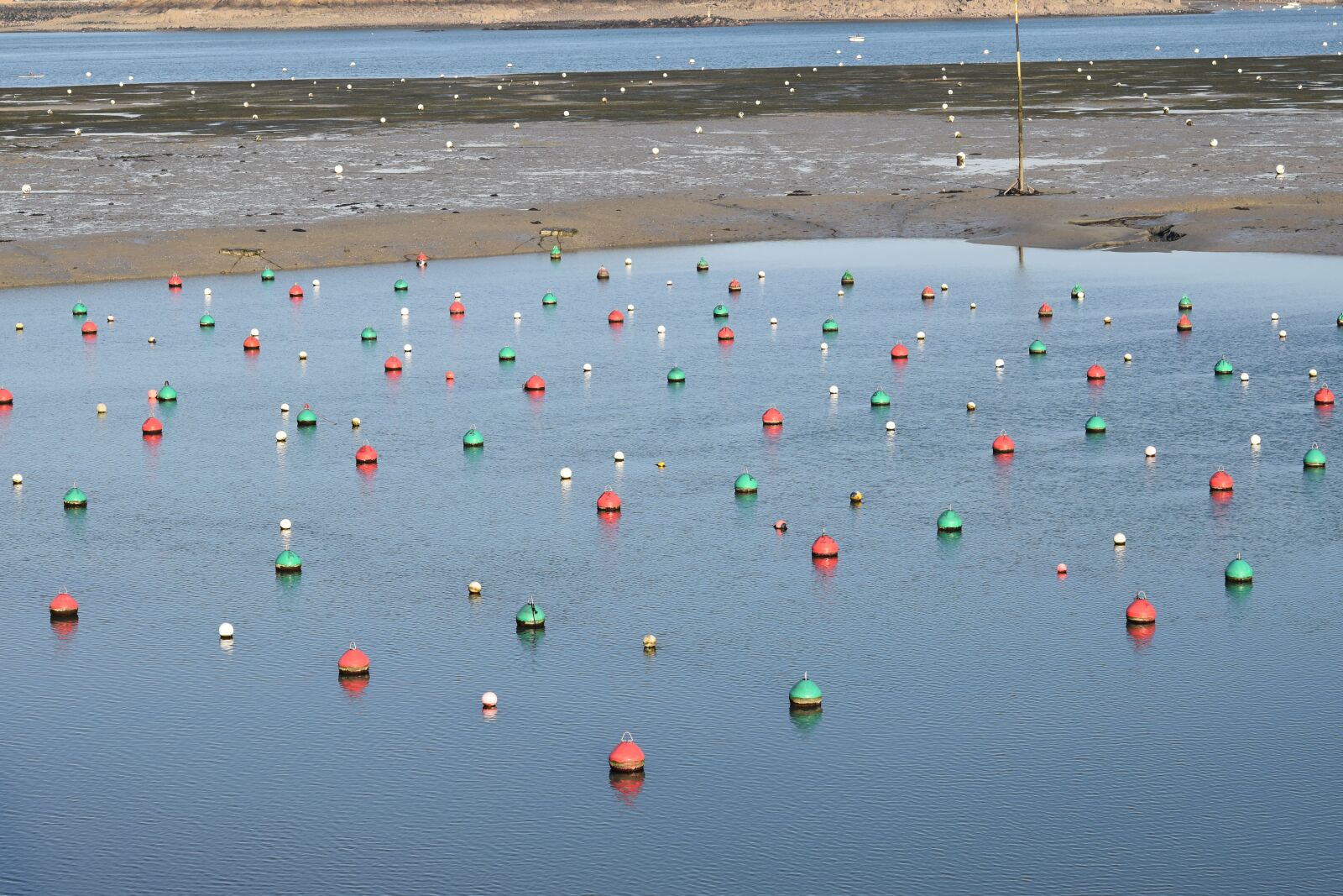 Nikon D5600 sample photo. Buoys mooring, port dinard photography