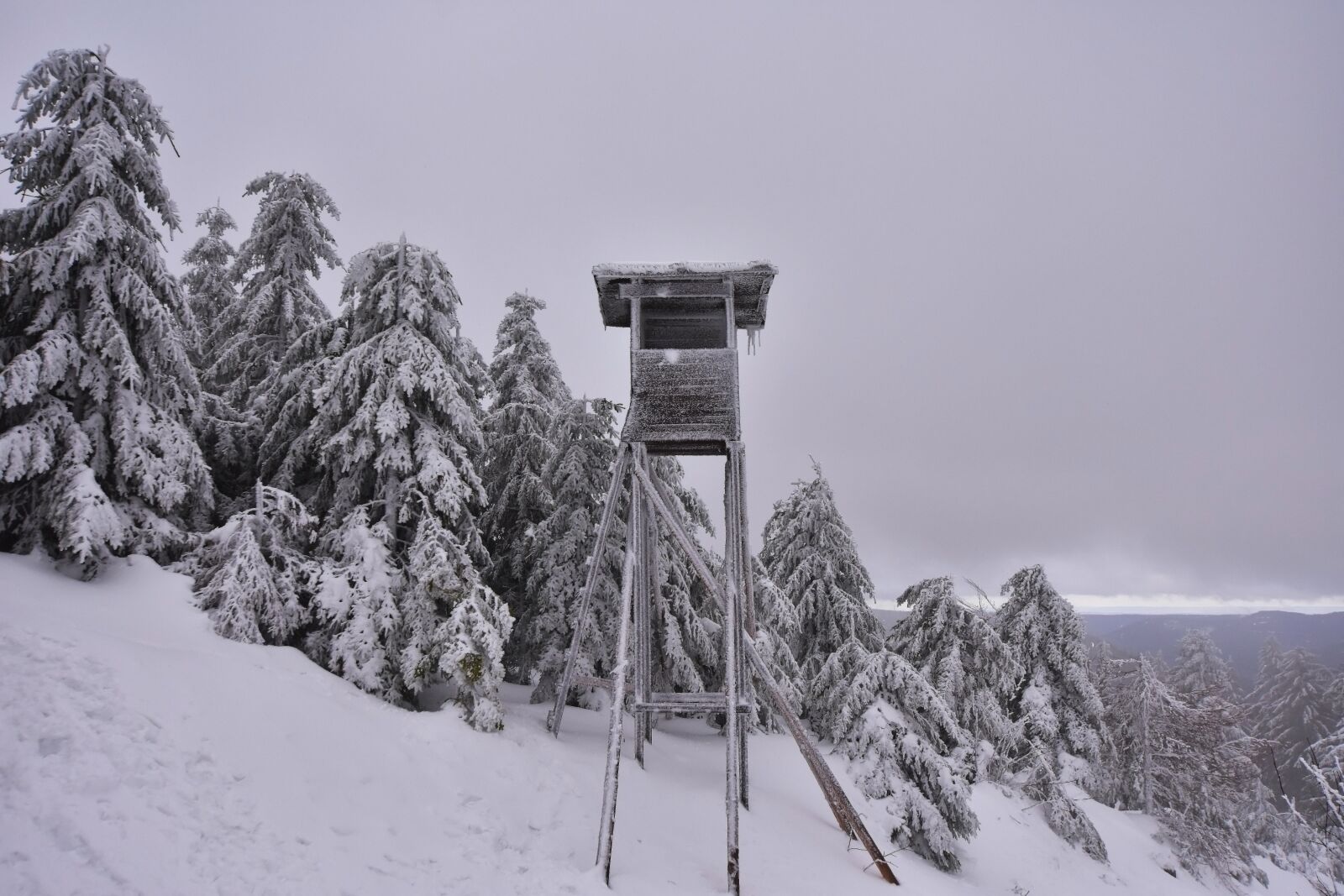 Nikon D3400 sample photo. Winter, hunting seat, delight photography