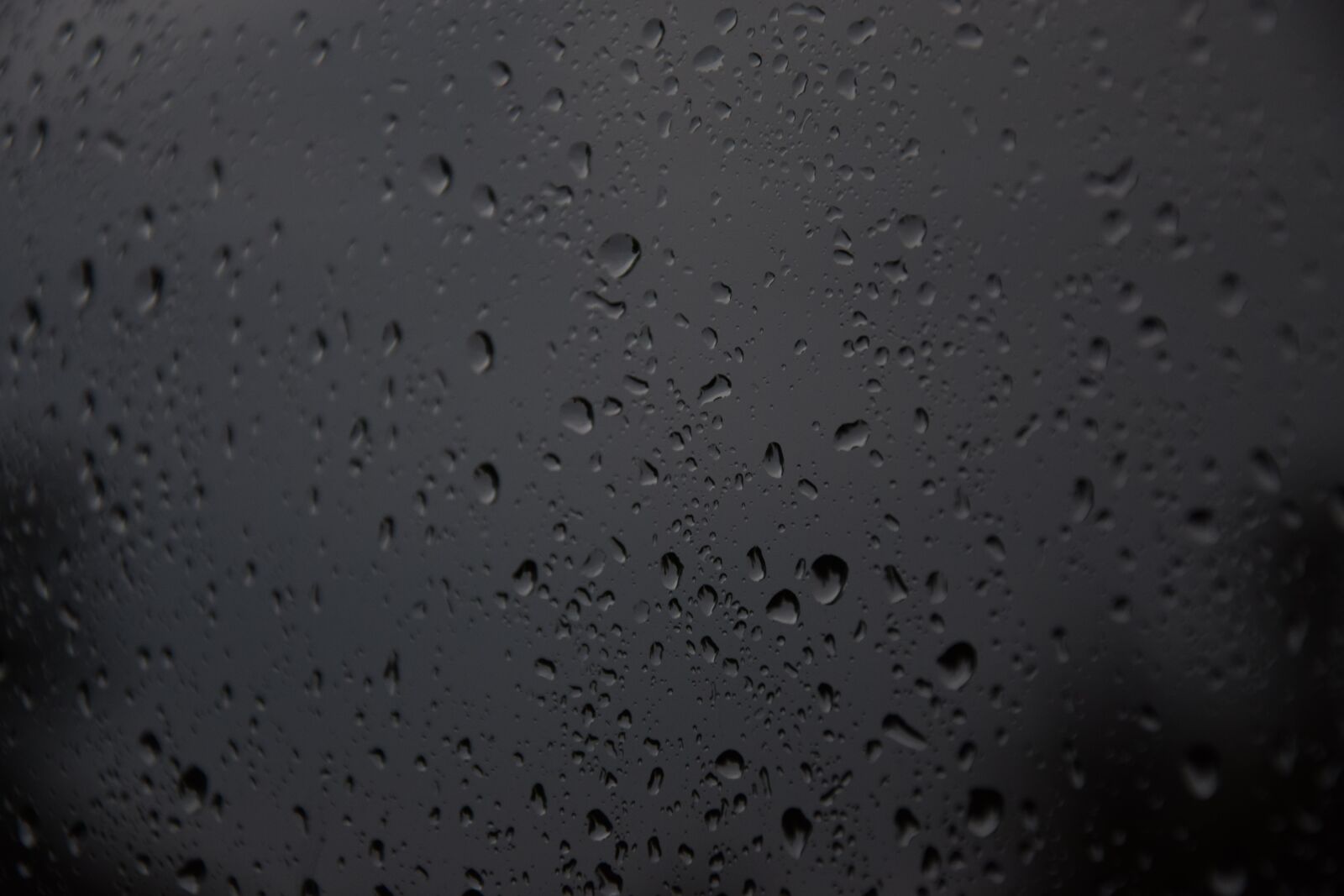 Nikon D3300 sample photo. Water, rain, drops photography