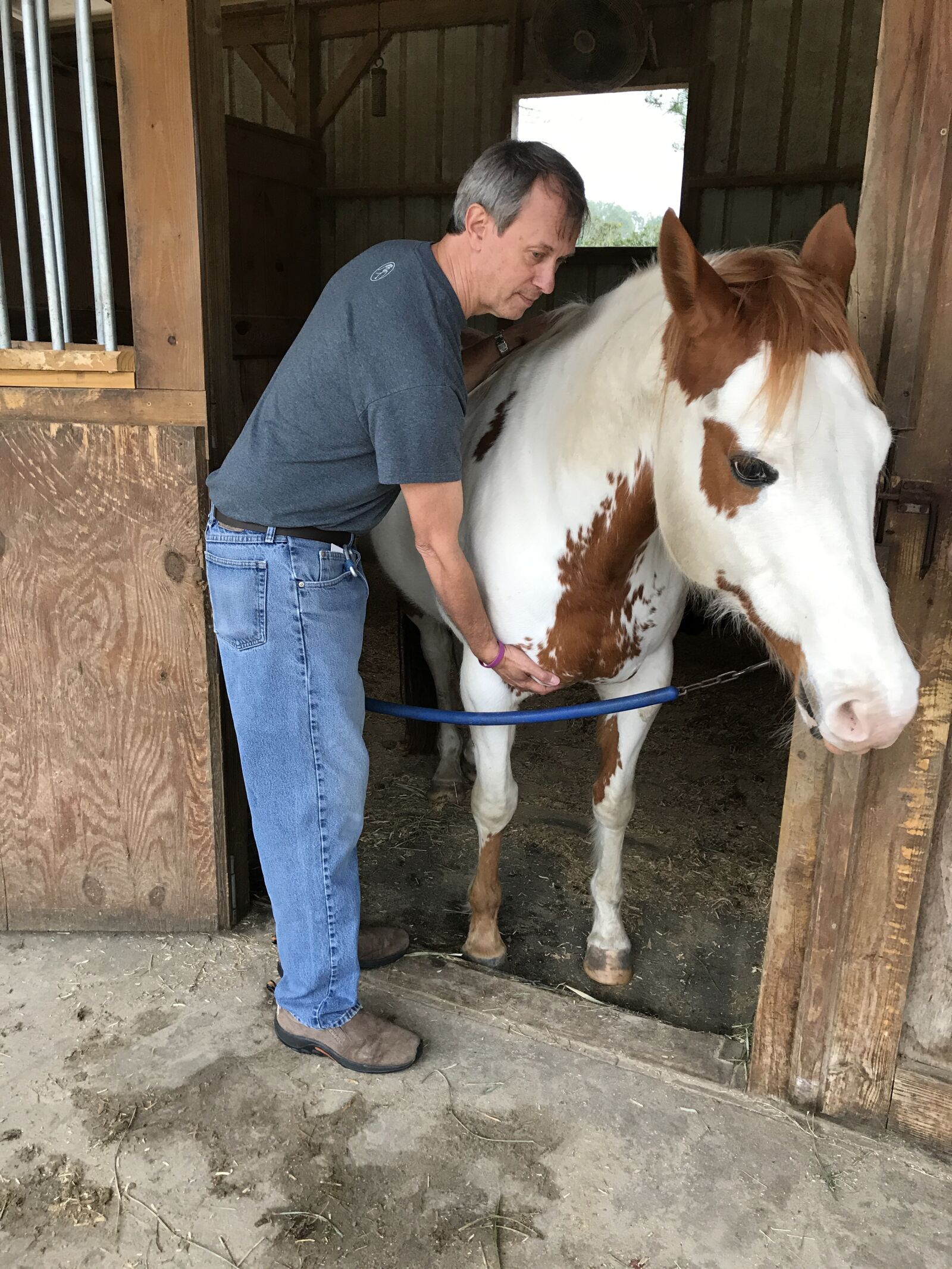 iPhone 7 back camera 3.99mm f/1.8 sample photo. Horse therapy, rescue horse photography