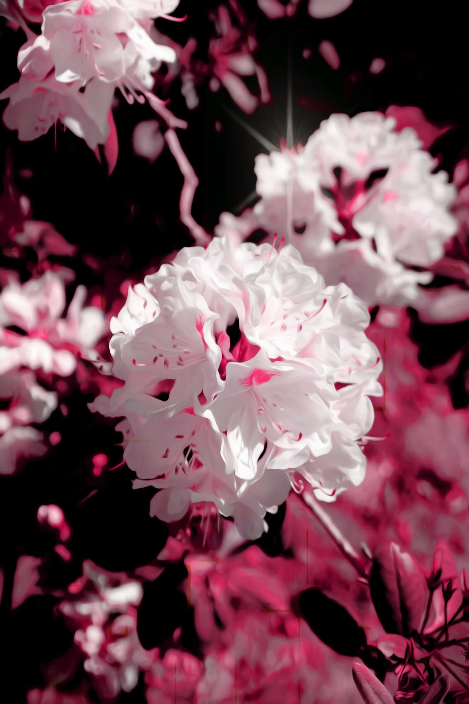 Sony SLT-A68 sample photo. Flowers, blossom, bloom photography