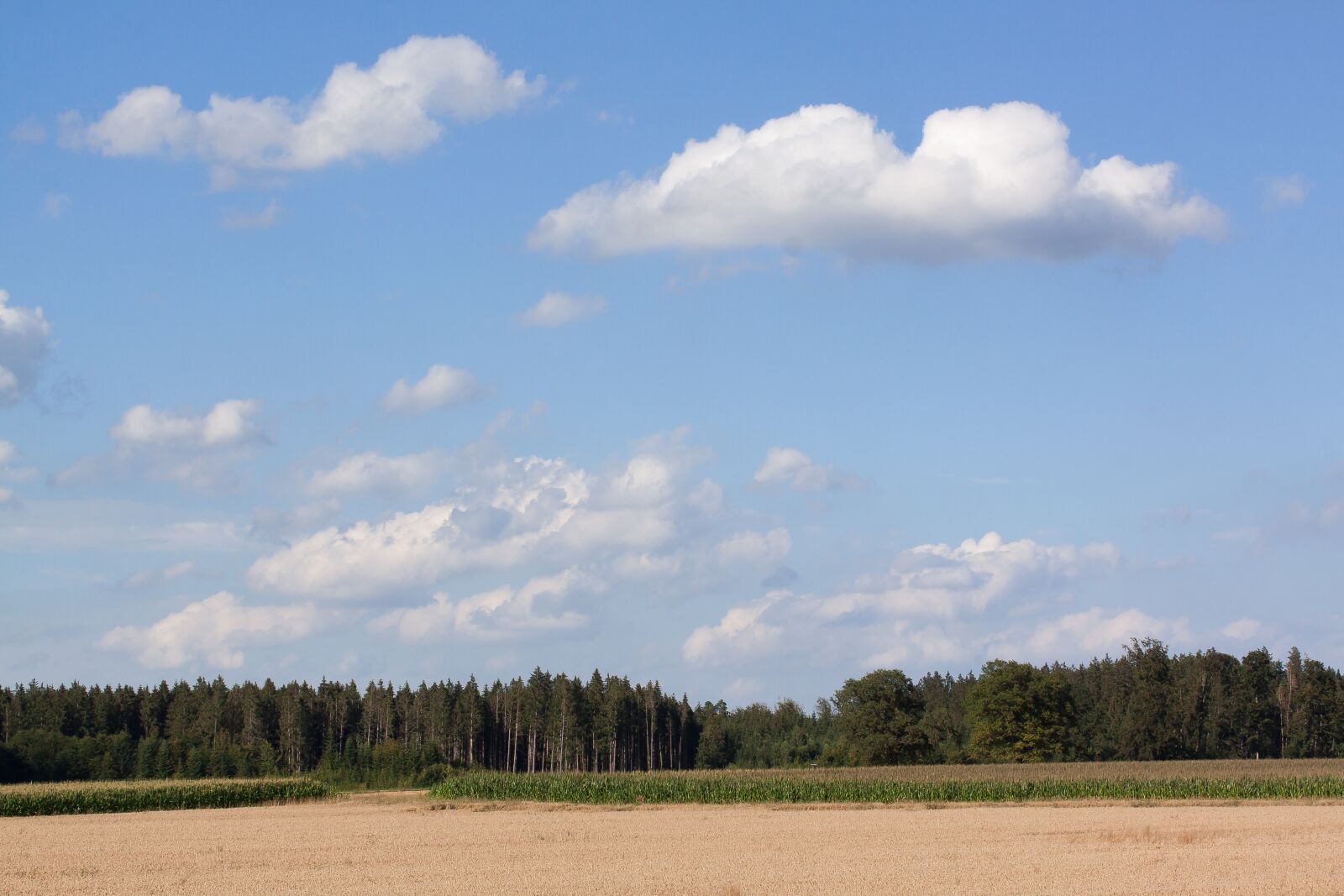Canon EOS 50D sample photo. Sky, clouds, blue photography