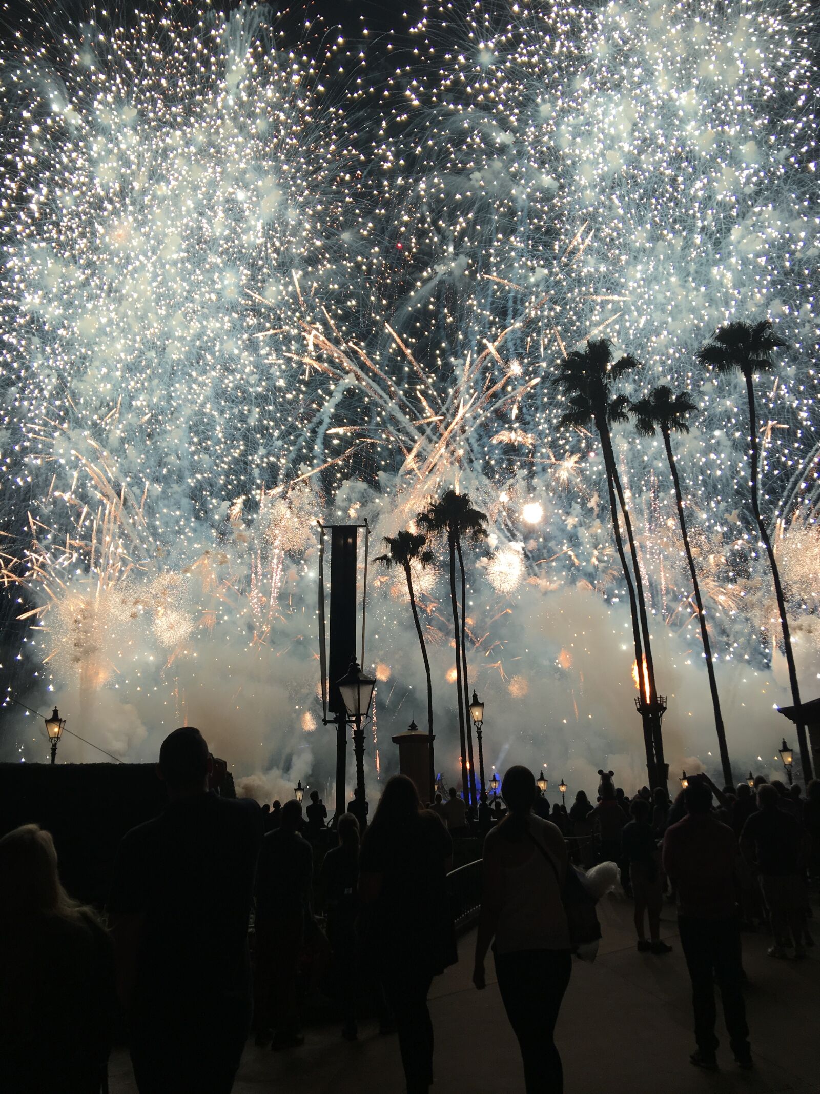 iPhone 6s Plus back camera 4.15mm f/2.2 sample photo. Fireworks, night, celebrate photography