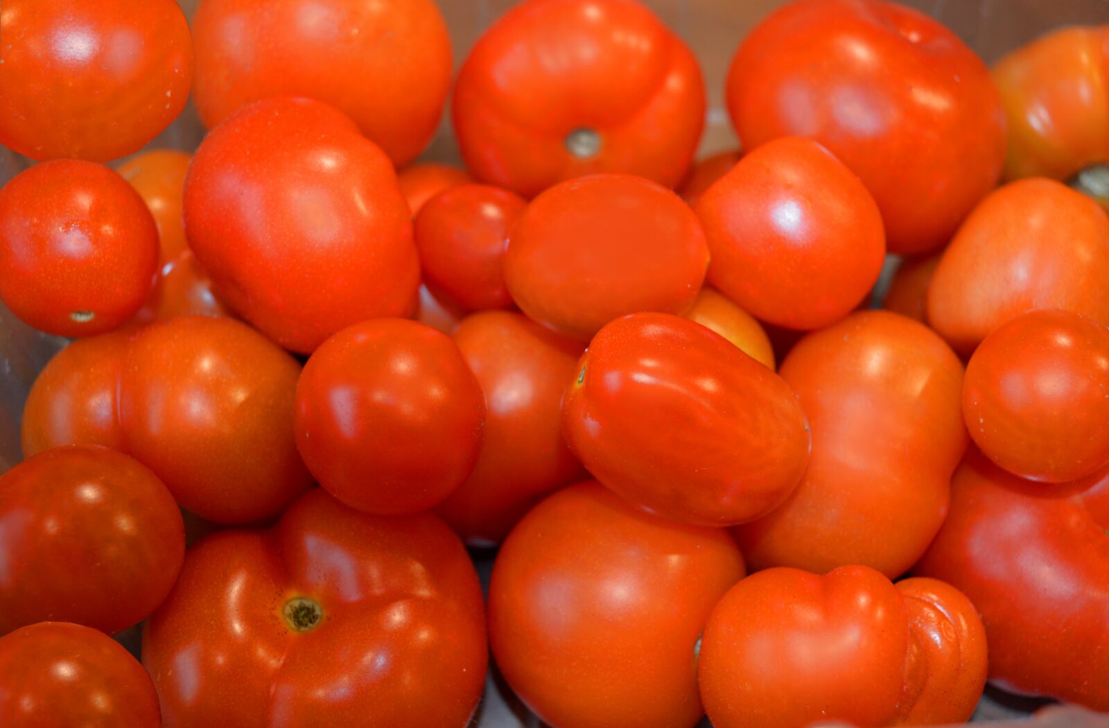Nikon D3200 sample photo. Tomatoes, red, vegetables photography