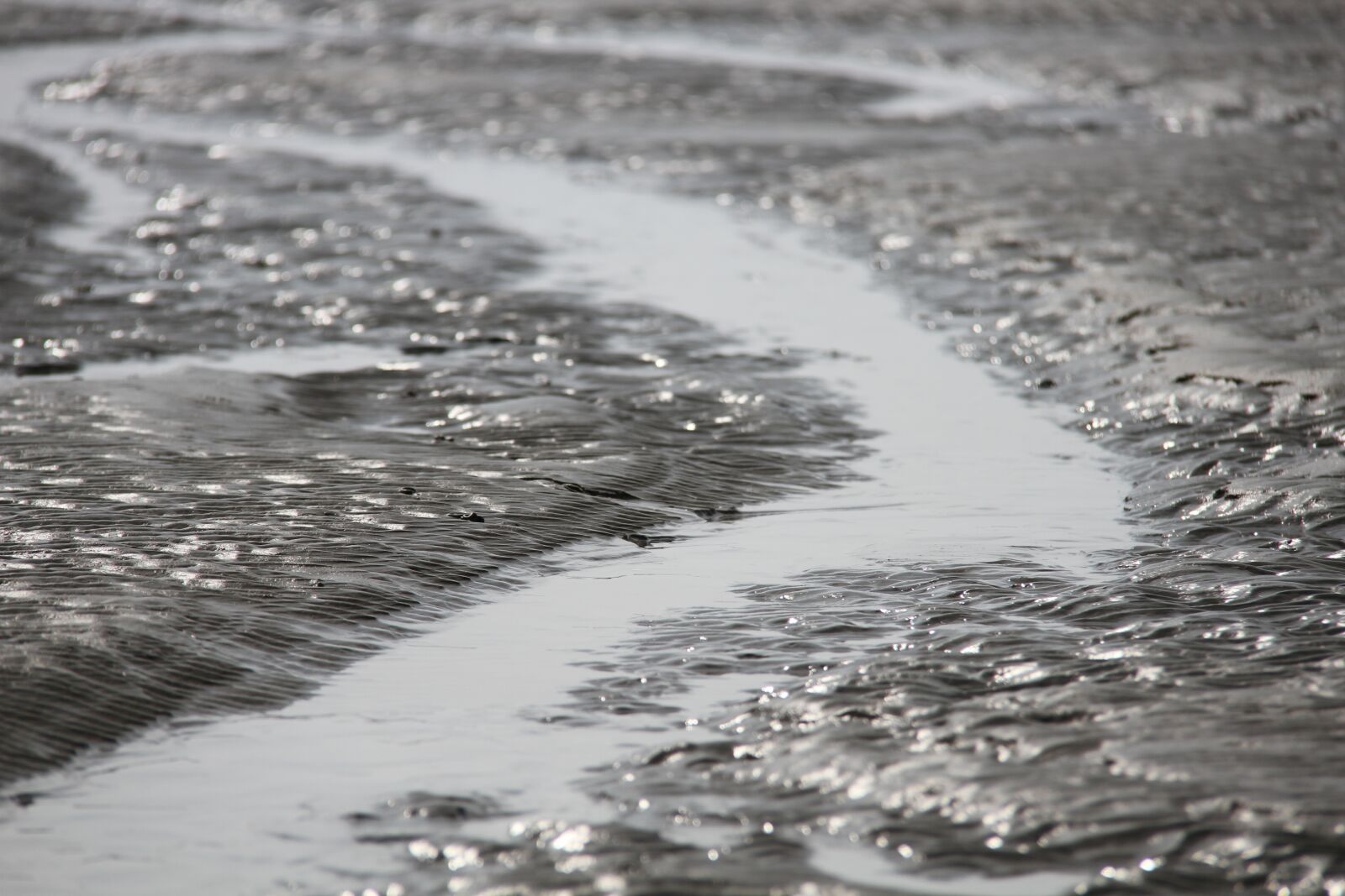 Canon EOS 7D sample photo. Wadden sea, ebb, north photography