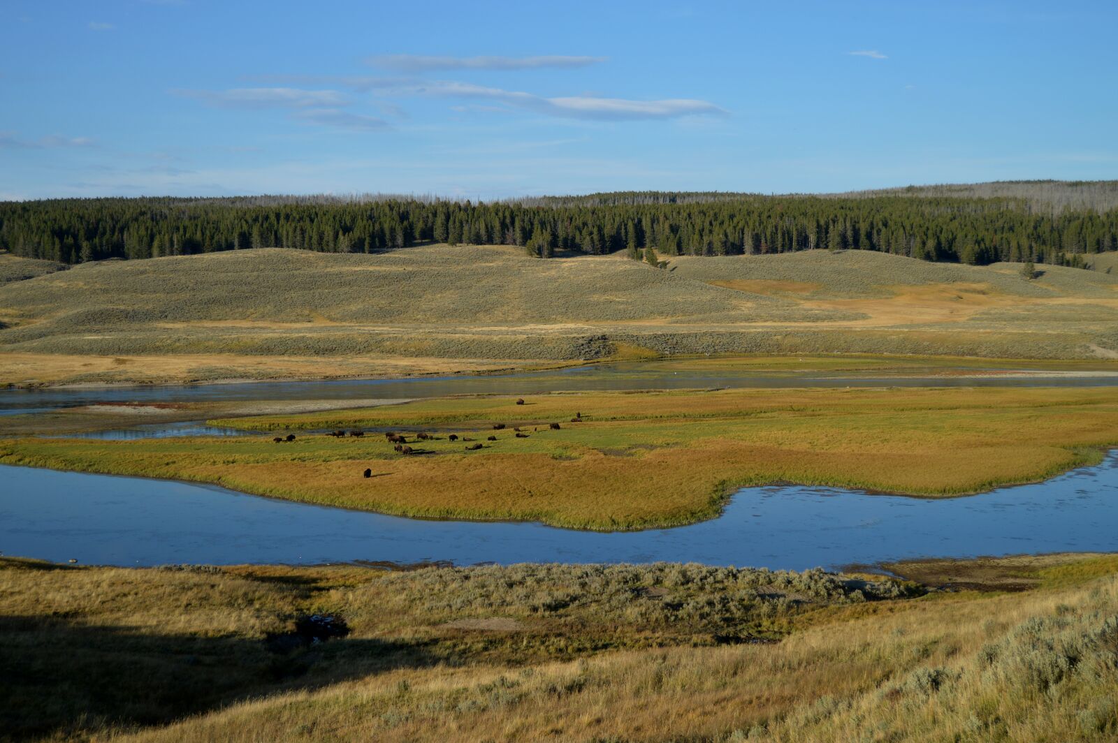 Nikon D3200 sample photo. Yellowstone, national park, park photography