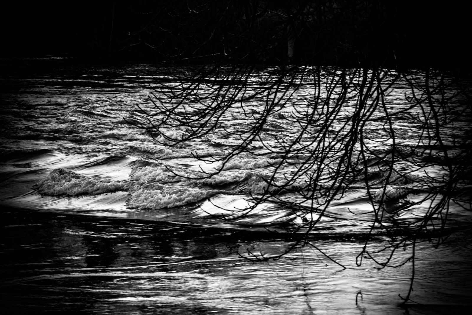 Nikon D800 sample photo. Flood, of, meuse photography