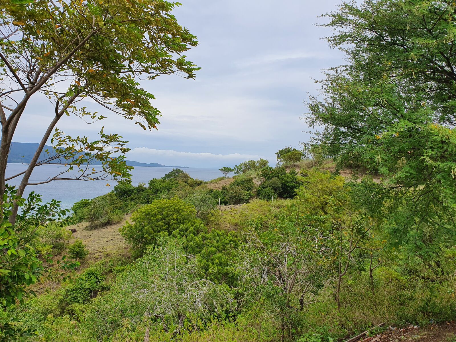 Samsung SM-G975F sample photo. Nature, panorama, mountain photography