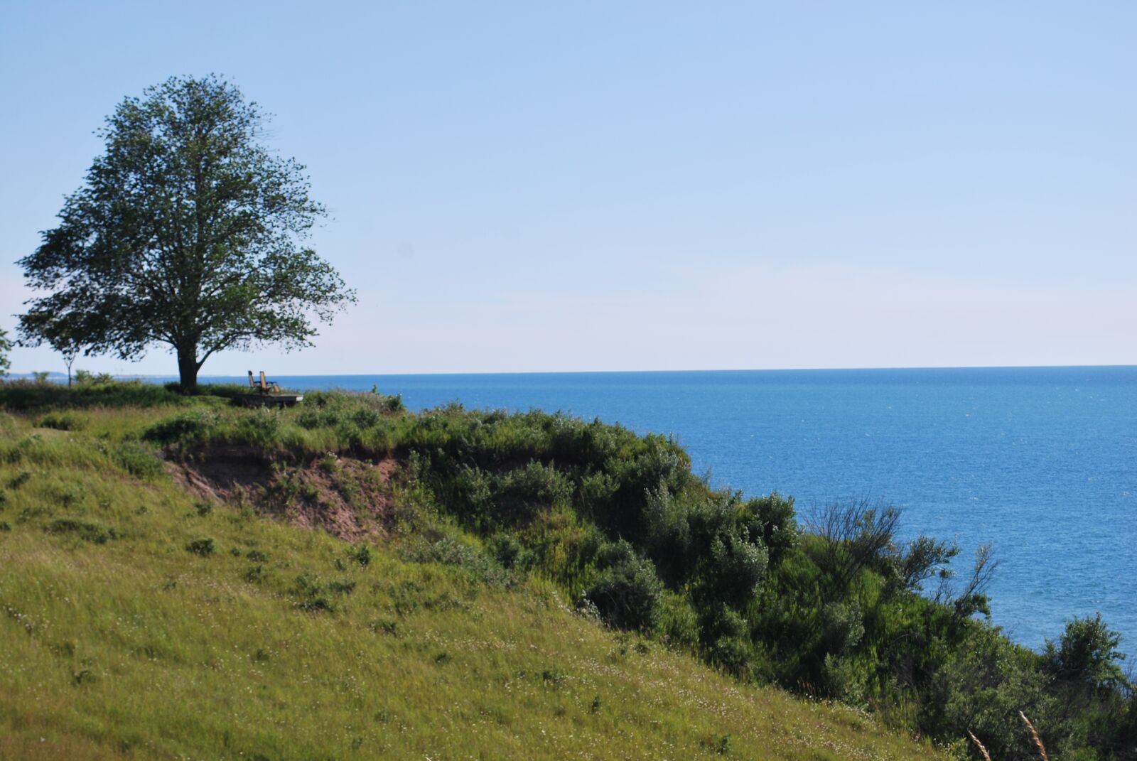 Nikon D60 sample photo. Shore, lake, trees photography