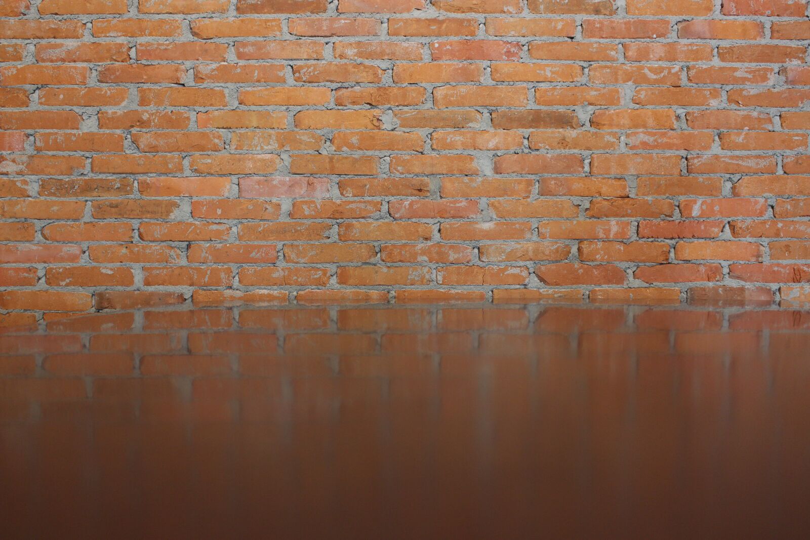 Canon EOS 700D (EOS Rebel T5i / EOS Kiss X7i) sample photo. Wall, the bricks, background photography