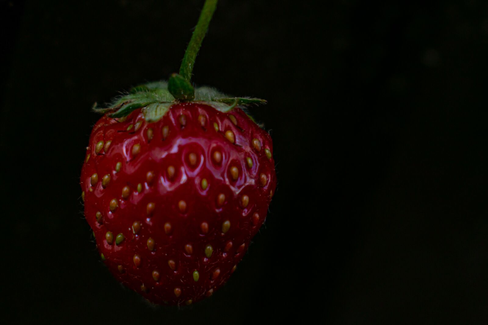 Nikon D5300 sample photo. Strawberry, close up, red photography