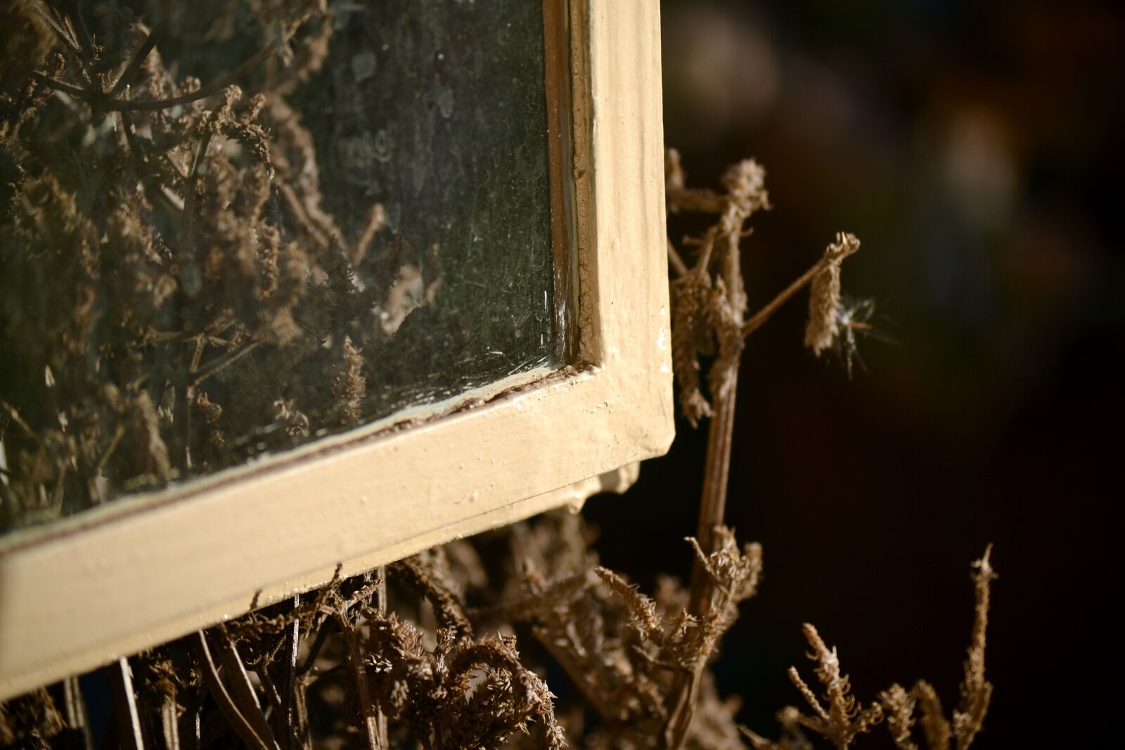Nikon D3100 sample photo. Window, glass, see through photography