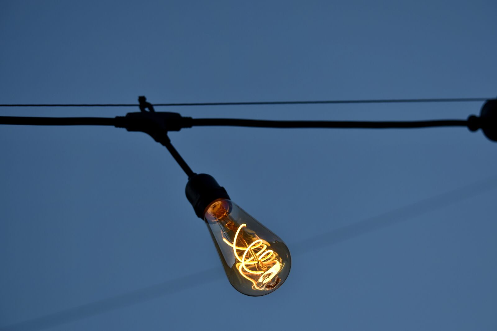 Nikon D5500 sample photo. Cable, wires, electricity, wire photography