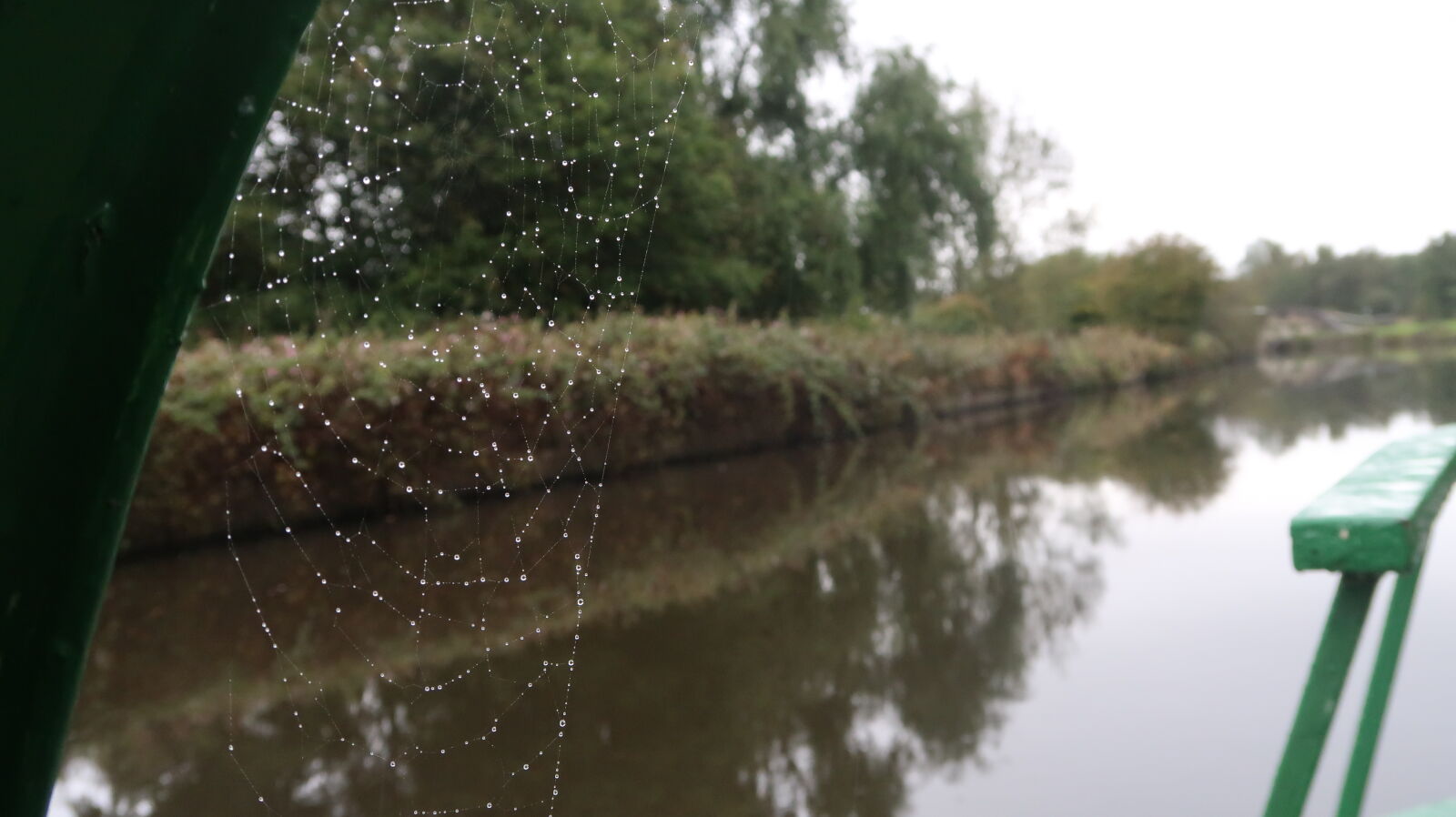 Canon PowerShot G7 X Mark II sample photo. Spiders, web, on, canal photography