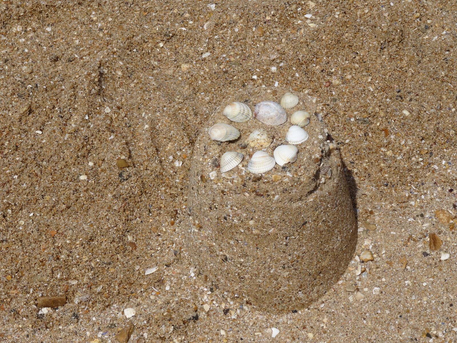 Sony DSC-HX50 sample photo. Sand, shells, sand castle photography