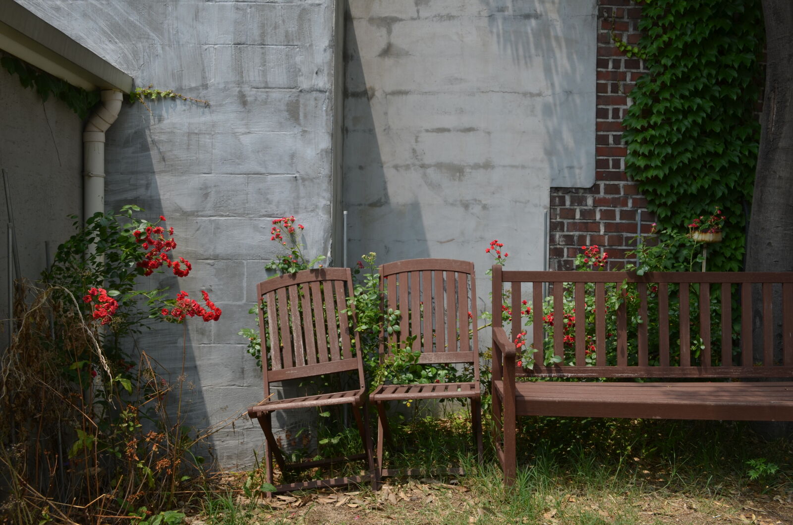 Nikon D5100 sample photo. Artificial, flowers, beautiful, flower photography